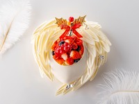 【Advance payment/Limited to 60 pieces】Plume de Champagne