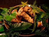 Special Matsutake Mushroom Course: 38,000 yen