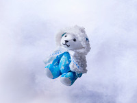 [12/19–1/3・WEB11％OFF]  Festive Season Special Dinner Buffet with Holiday Bear