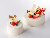 【Advance payment】Ailes d’ange (Ssize)