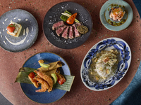 【Festive Dinner Course】 5 courses including appetizer, main dish, and dessert
