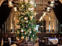 [Xmas | Lunch] Christmas Lunch Course