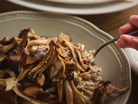 【DINNER】10月11月限定！秋のテラス楽しむ飲み放題プラン