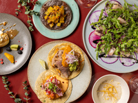 Winter Menu [Dinner] 4-Course Dinner: A menu featuring popular guacamole and tacos, with a choice of main course + all-you-can-drink.