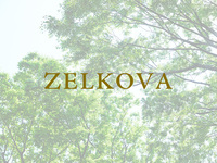 ランチ＜ZELKOVA＞26,000