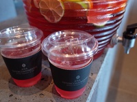 [ Fridays only] Glowing Friday ~A Friday filled with lunch buffet, hot springs, and botanical sangria~