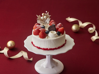 【早割特典300円OFF】★2026クリスマス★デコレーションケーキ　4号（直径約12cm）　※早割12/13まで※