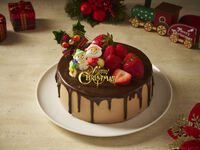  【Early Bird Discount 10％OFF】SUI Raspberry Chocolate Cake