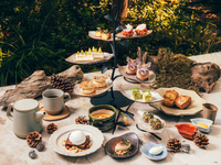 11/13–12/27 [Weekdays 16:00–16:30: Exclusive 5% discount for reservations] A Journey Through the Wonders of Moment Afternoon Tea