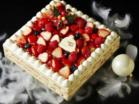 Advanced Purchase [Regular Price] Berry Berry Christmas 16,500 yen
