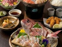11/2–2/28 [Recommended for those who want to fish and also enjoy various delicious dishes★] Bamboo Course for Year-End/New-Year Parties in November and February: 6,600 yen (tax included) alone; 8,000 yen (tax included) with all-you-can-drink option.