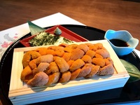 Sea urchin sashimi