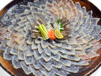 Hanya untuk reservasi saja! Fugu sashimi