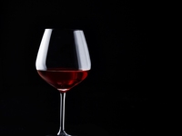 Wine event “Bordeaux Signature”