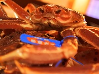 OmakaseKaiseki